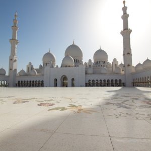 IMG 0335