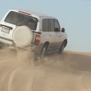 IMG 0557