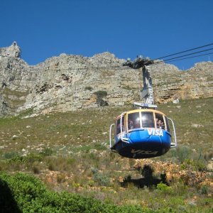 IMG 0802