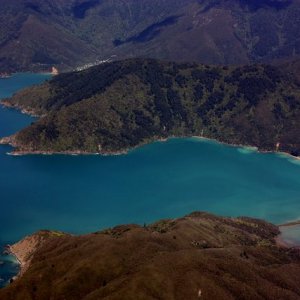 nz2