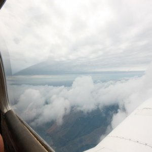 nz4