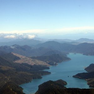 nz5