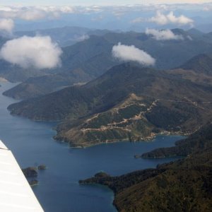 nz6