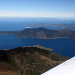 nz8