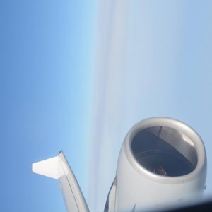 DSC 5739