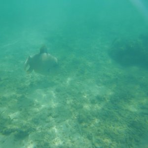 CIMG6351