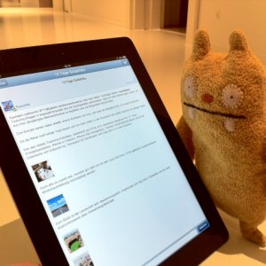 Ugly mit iPad