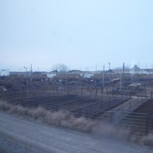 DSC 0431