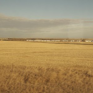 DSC 0391 2