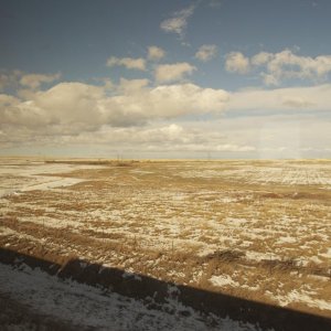DSC 0466