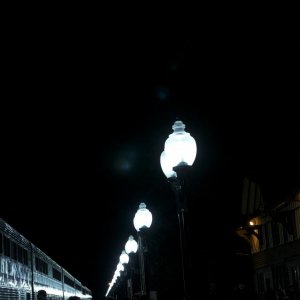 DSC 0100 3