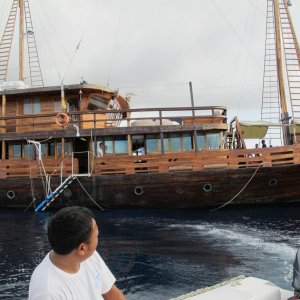 IMG 0312
