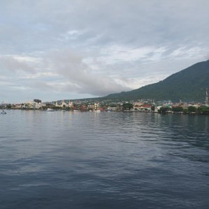 IMG 0310