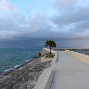 Ein Park am Meer
Es wurde ganz plötzlich dunkel. Squall!