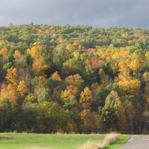 Green Mountains