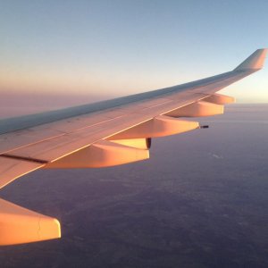 IMG 0476
