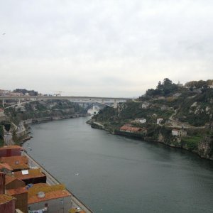 IMG 0319