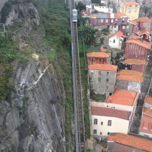 IMG 0335