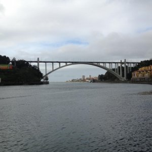 IMG 0388