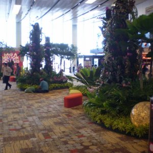 PA080126