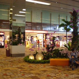 PA080127