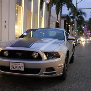 IMG 9279