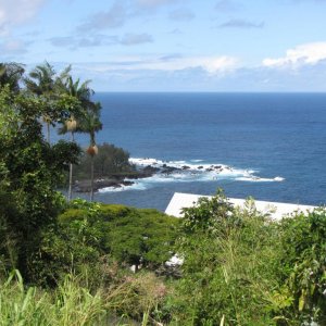Küste nahe Hilo