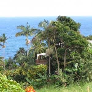 Big Island