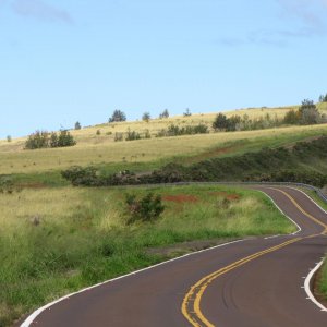 Way to the Waimea Canyon