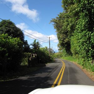 Tantalus Drive
