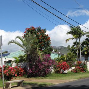 Berverly Hills