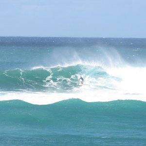 Surfin II