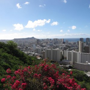 Waikiki from Cemetry