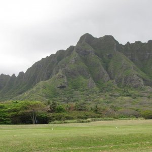 IMG 7258