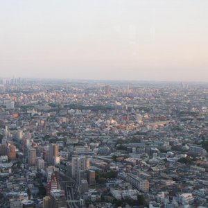 IMG 7522