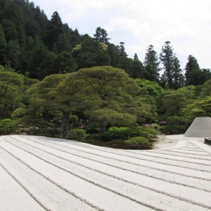 IMG 7797