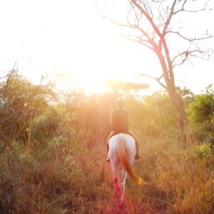 Sunset01