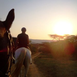 Sunset02