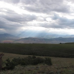 IMG 7987