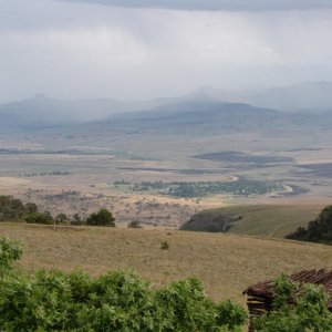 IMG 7992