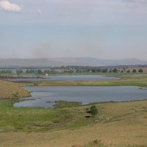 IMG 8196