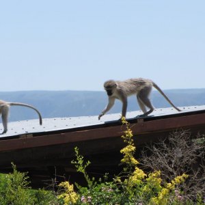 IMG 8328