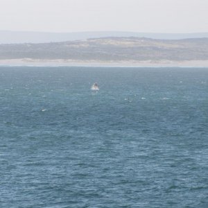 IMG 8533