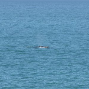 IMG 8565