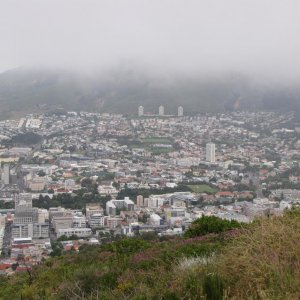 IMG 8730
