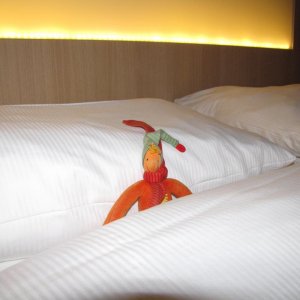 IMG 8799
