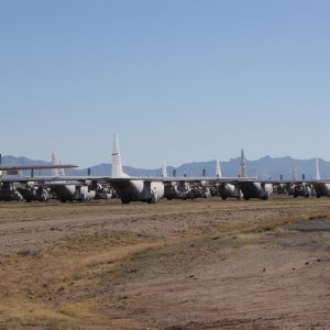 IMG 9089