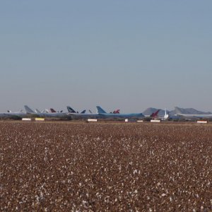 IMG 9114