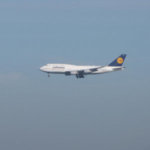 IMG 9321