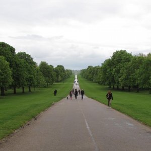 IMG 9355